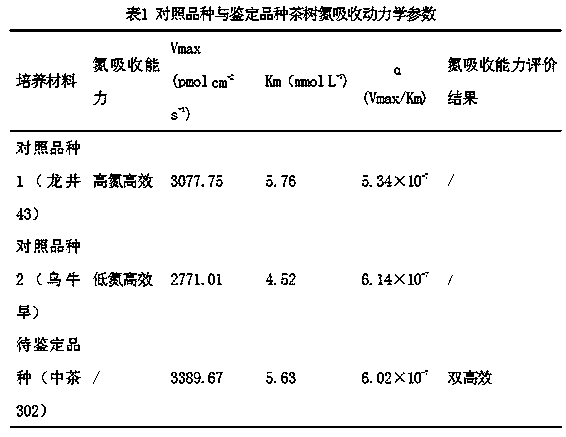 Early non-destructive identification method for nitrogen absorption capacity of tea tree