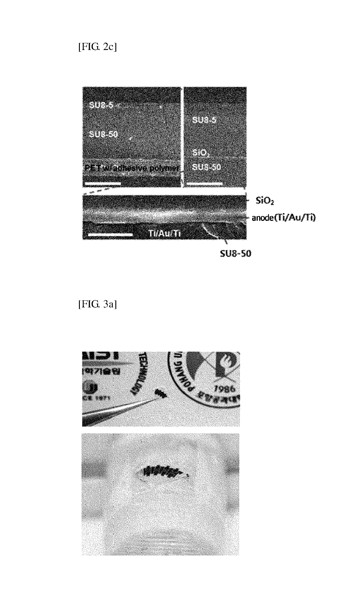 Smart contact lenses and smart glasses