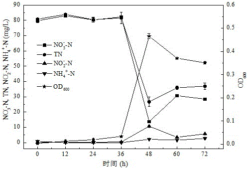 Enterobacter sp. strain and application thereof