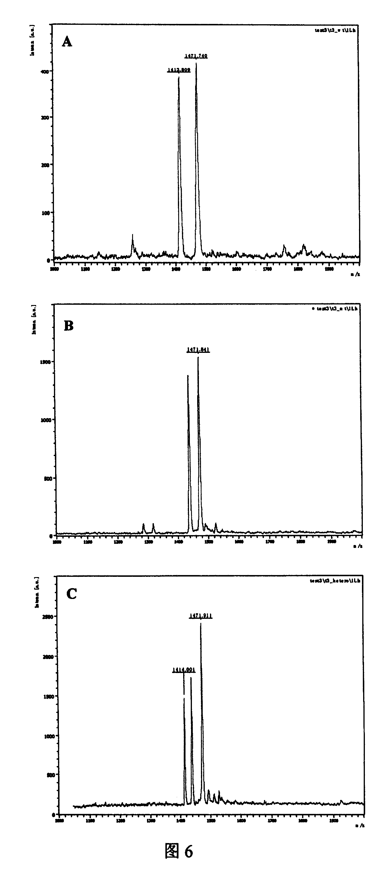 Method for testing SNP combining restrictive zyme cutting method and mass spectrometry