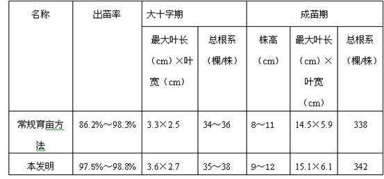 Organic tobacco seedling culture method