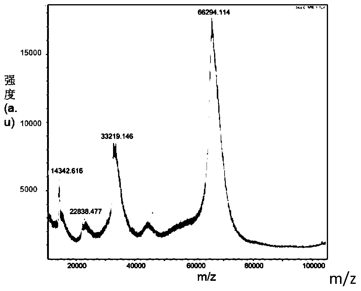 Application of triclosan monoclonal antibody and/or trichlorocaraban monoclonal antibody to detecting triclosan and/or triclocarban