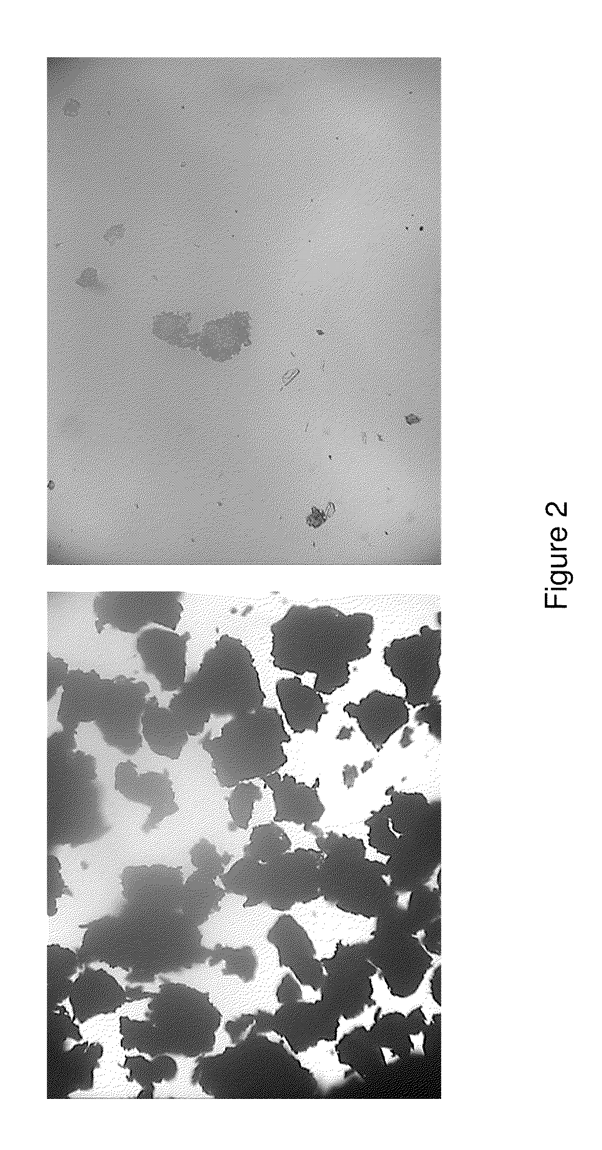 Pharmaceutical Forms for the Release of Active Compounds