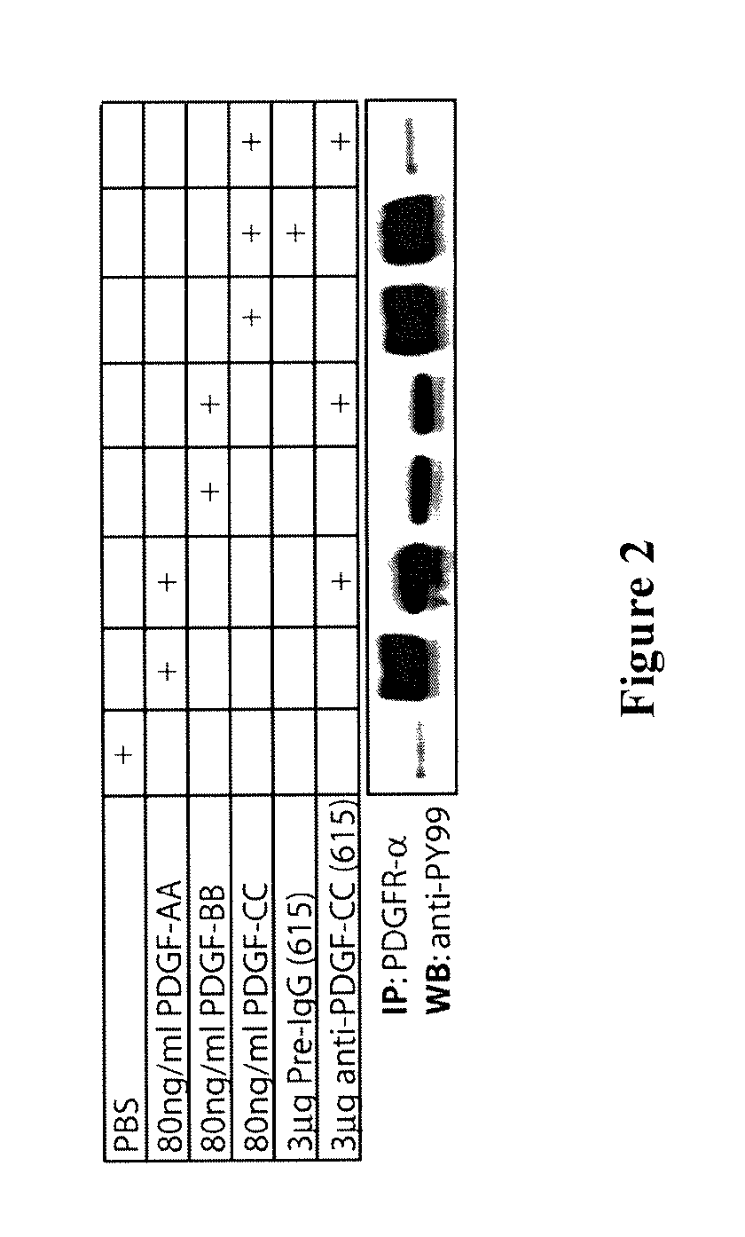 Methods and compositions for modulation of blood-neural barrier