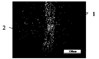 Aluminum-manganese material formed through high temperature brazing and forming method thereof