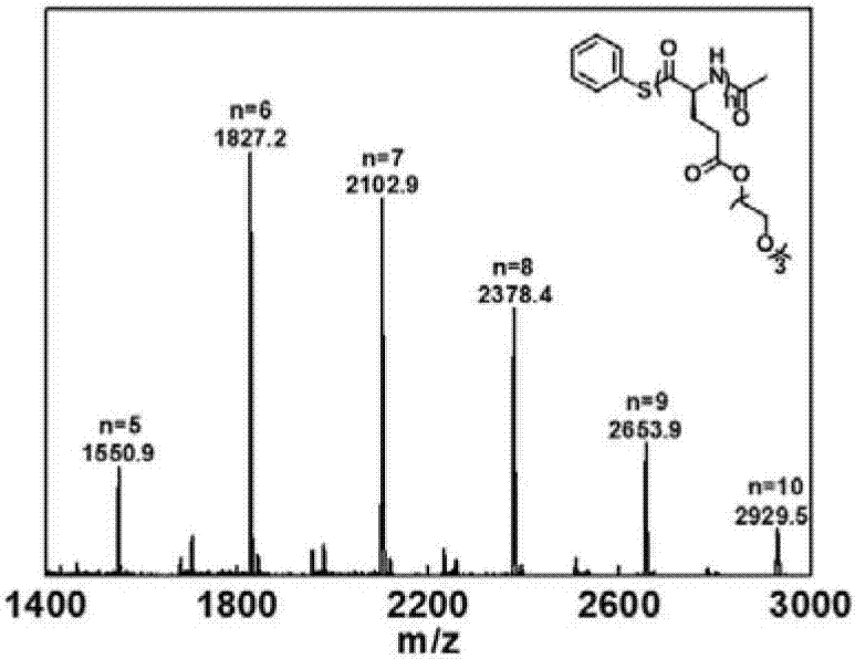 Method for preparing protein-polyamino acid cyclic conjugate