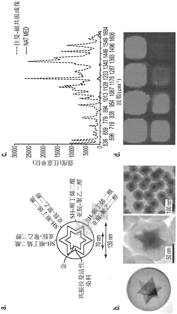 Wide field raman imaging apparatus and associated methods