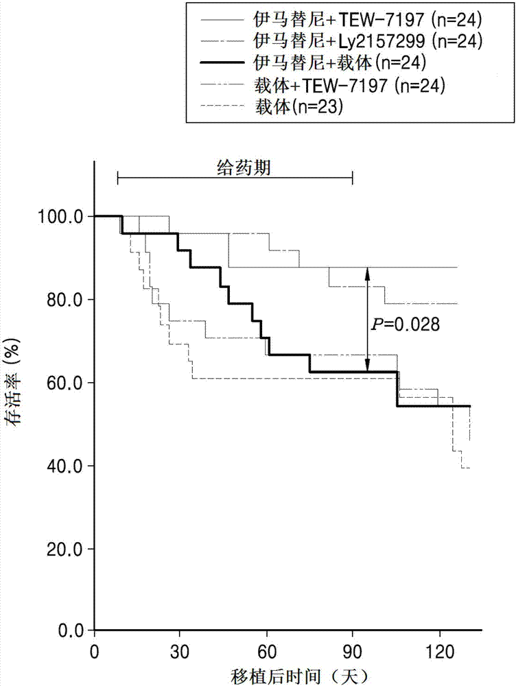 Pharmaceutical composition for preventing or treating chronic myeloid leukemia and method using the same