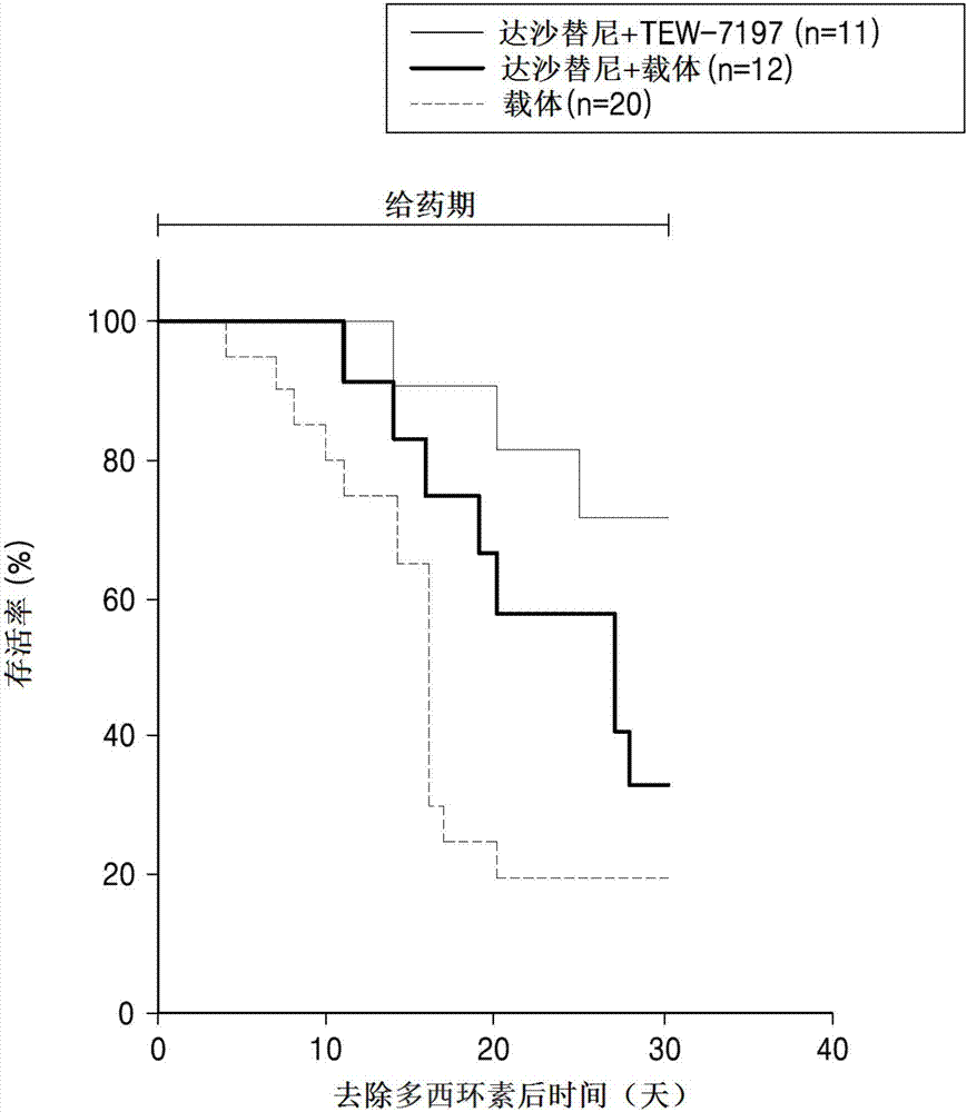 Pharmaceutical composition for preventing or treating chronic myeloid leukemia and method using the same