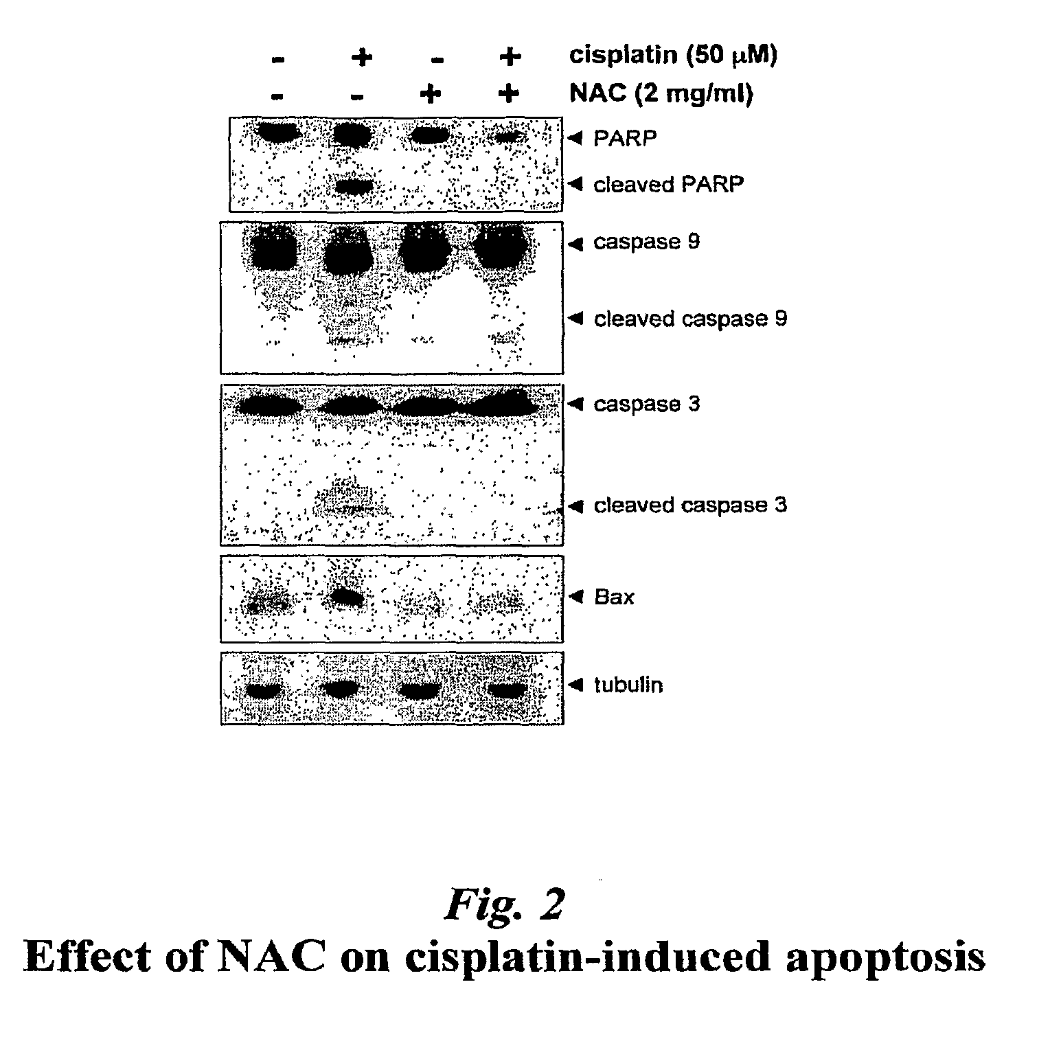 Methods for reducing toxicities associated with medical procedures employing radiographic contrast agents
