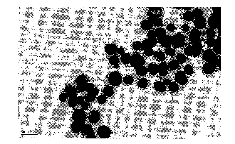 Composite particles whose nano magnetic iron oxide particles are assembled on surfaces of gold particles and method for preparing same