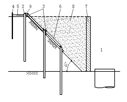 Method and structure for excavating soil in core tube region based on raft pile supporting