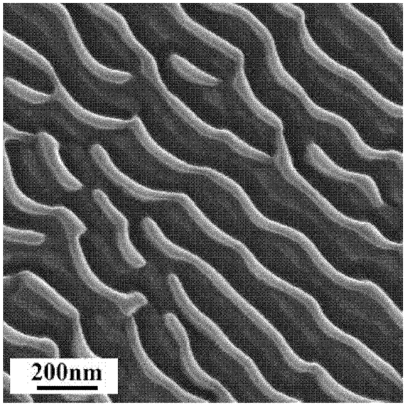Method for preparing metal nano stripes