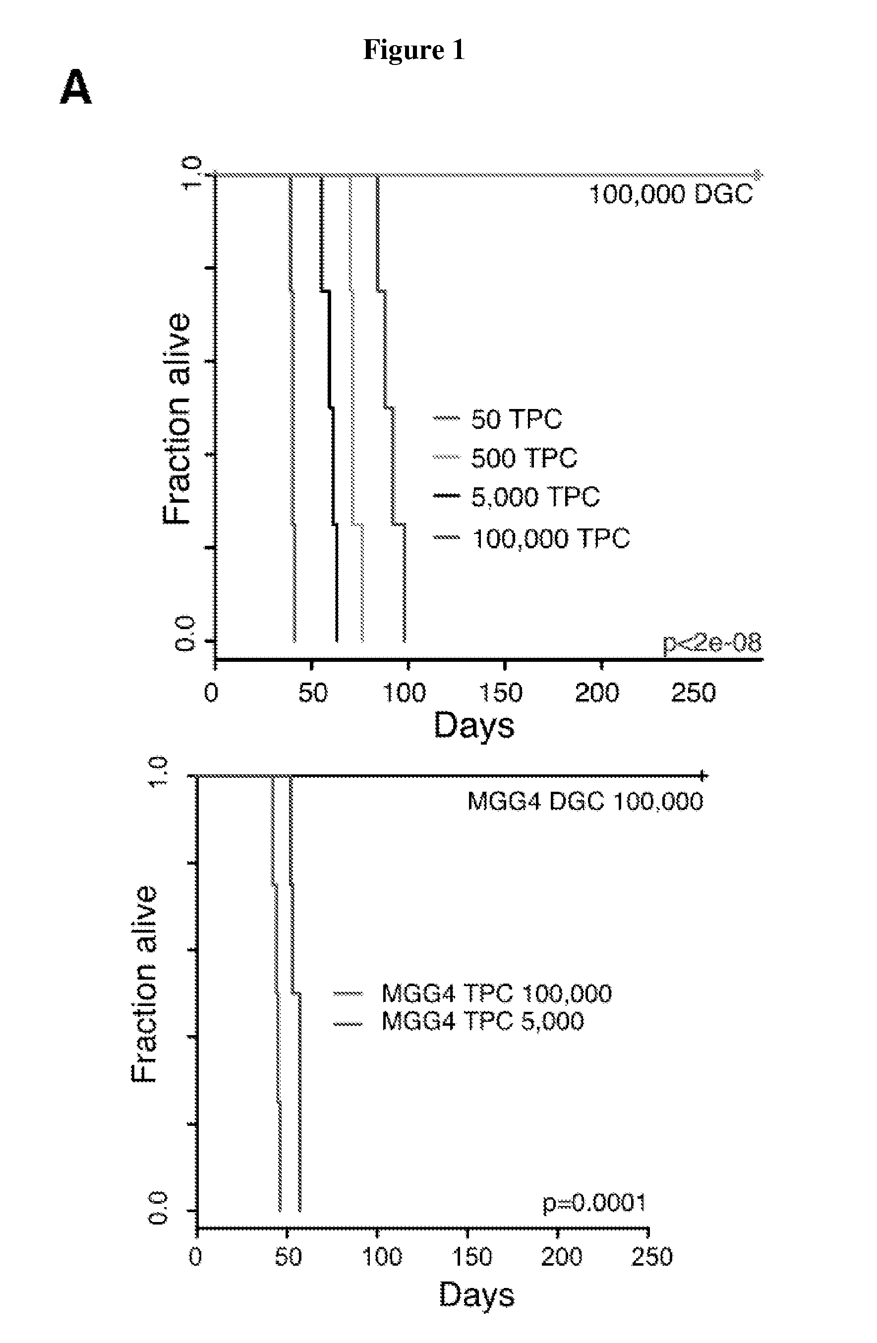 Compositions and methods for detecting and treating glioblastoma
