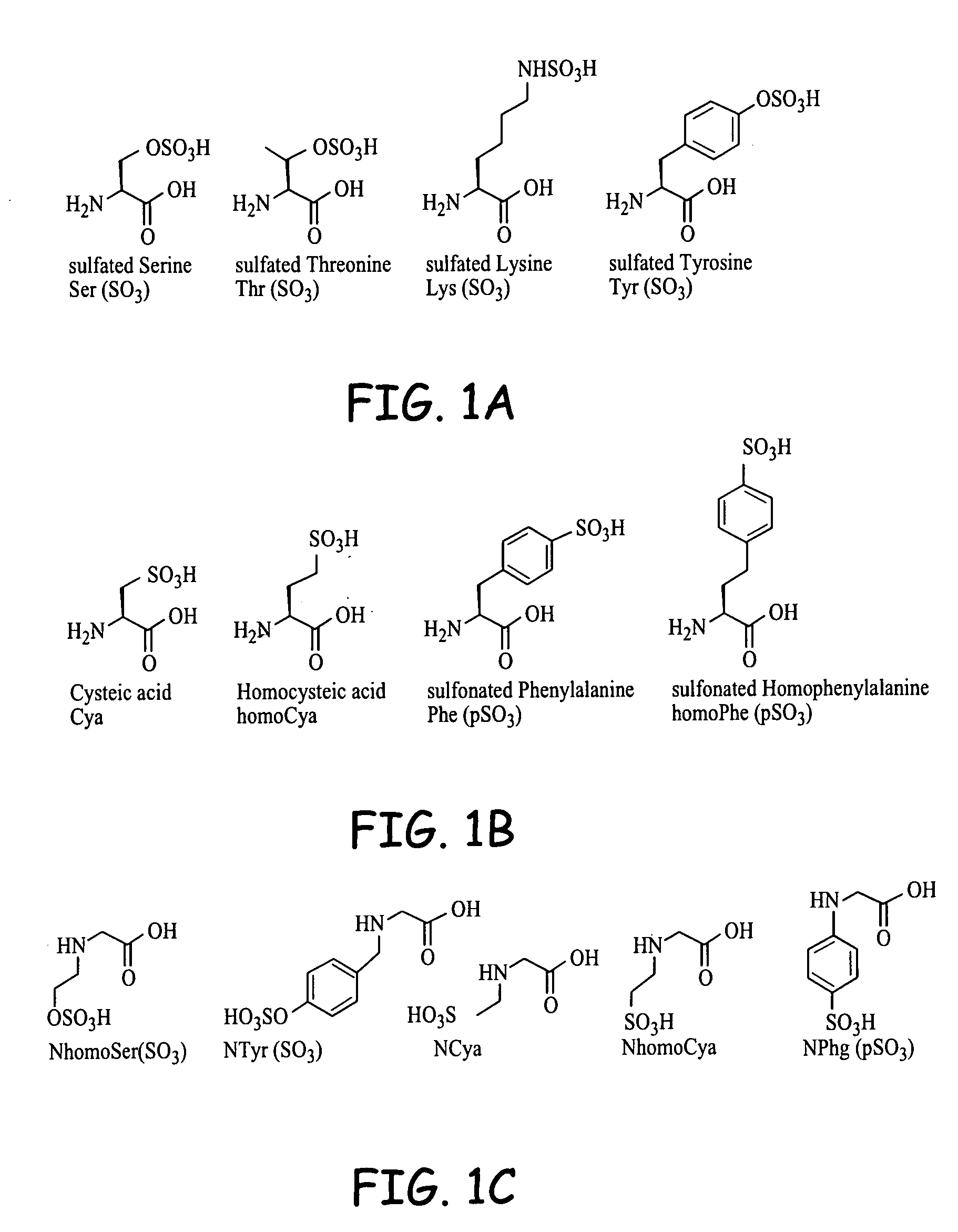 Compositions and methods for use of bioactive agents derived from sulfated and sulfonated amino acids