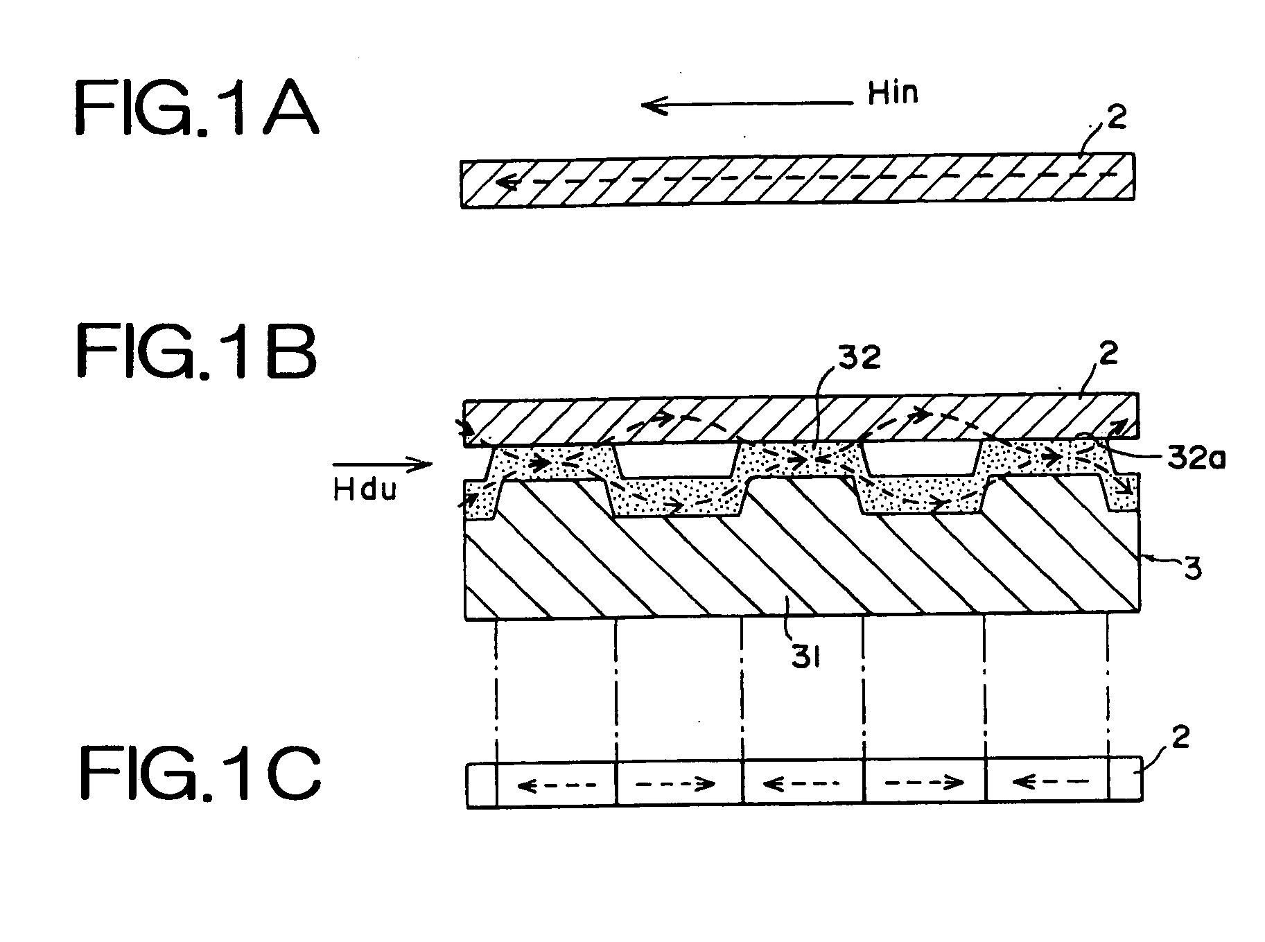 Master carrier for magnetic transfer