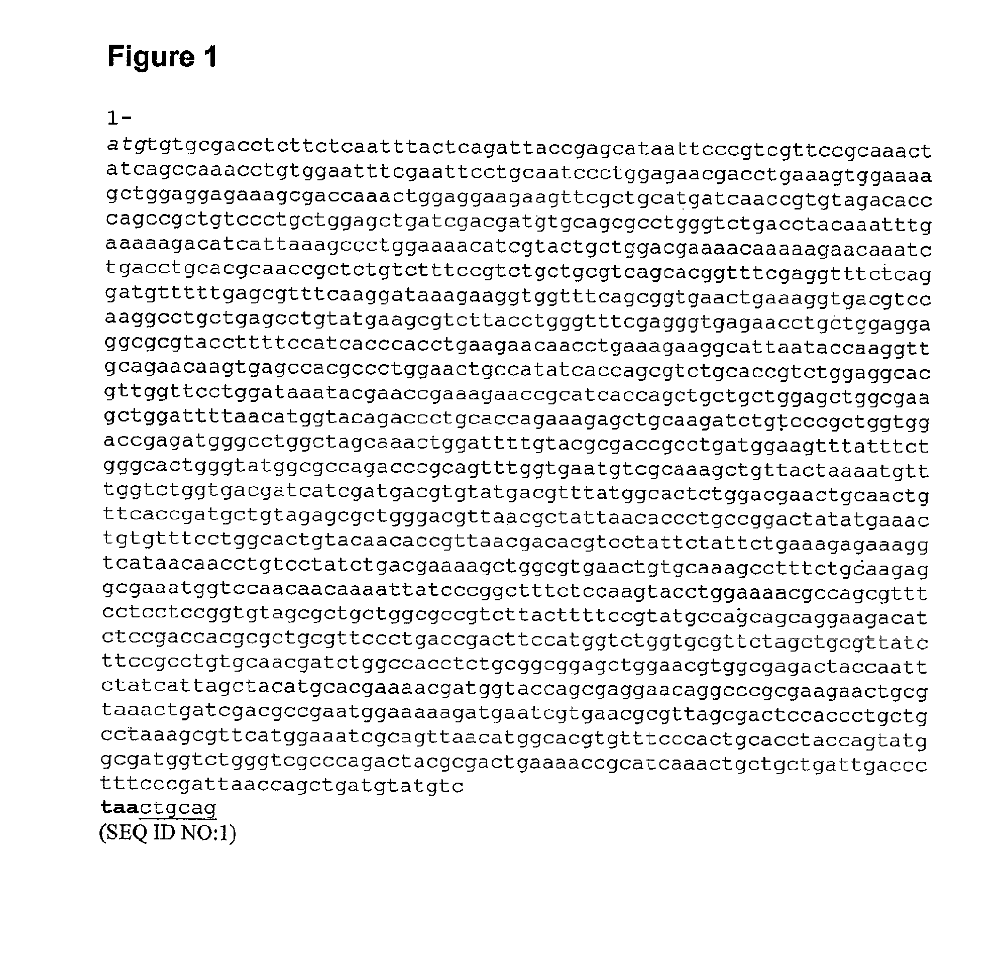 Compositions and methods for producing isoprene