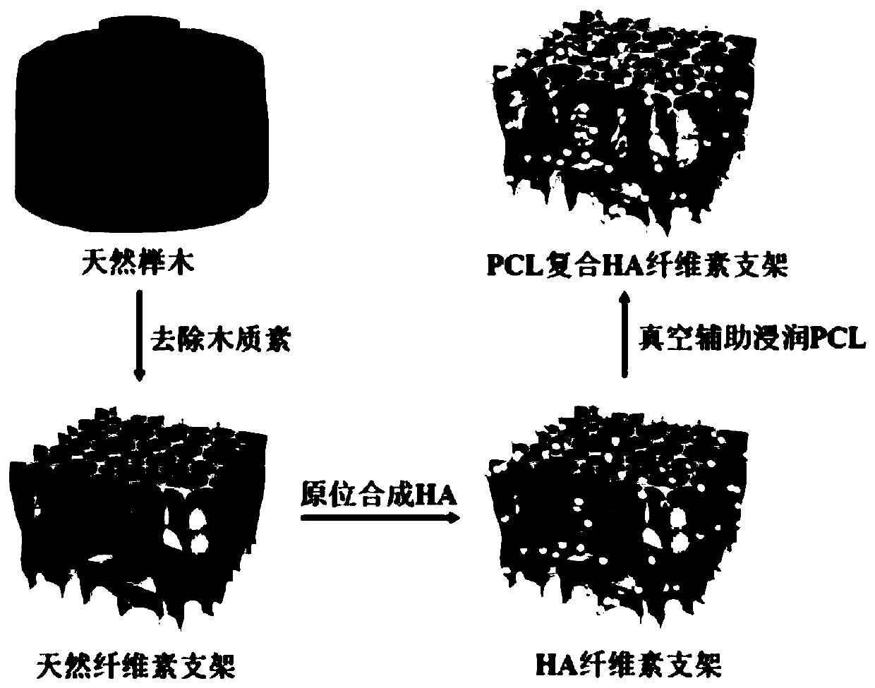 Bone-imitation composite material scaffold and preparation method thereof