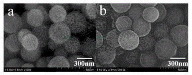 A kind of monodisperse nanometer magnetic bead and preparation method thereof for rapid sample pretreatment