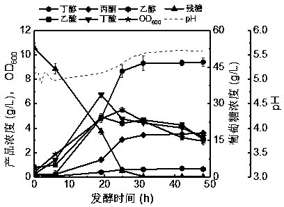 Method of efficiently synthesizing solvents and organic acids by butanol fermentation