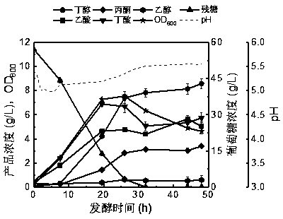 Method of efficiently synthesizing solvents and organic acids by butanol fermentation