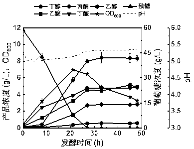 Method of efficiently synthesizing solvents and organic acids by butanol fermentation