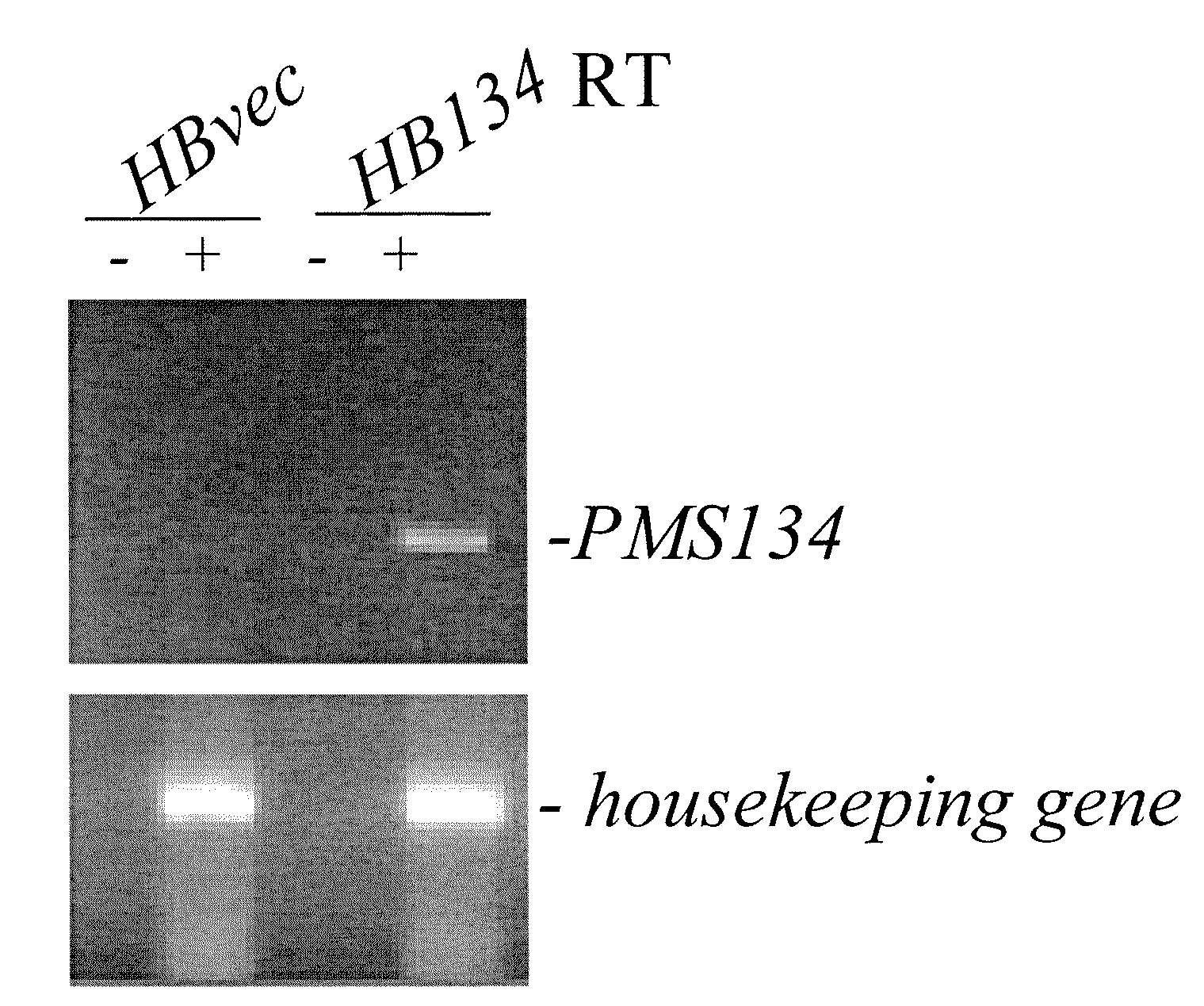 Antibodies And Methods For Generating Genetically Altered Antibodies With Enhanced Effector Function