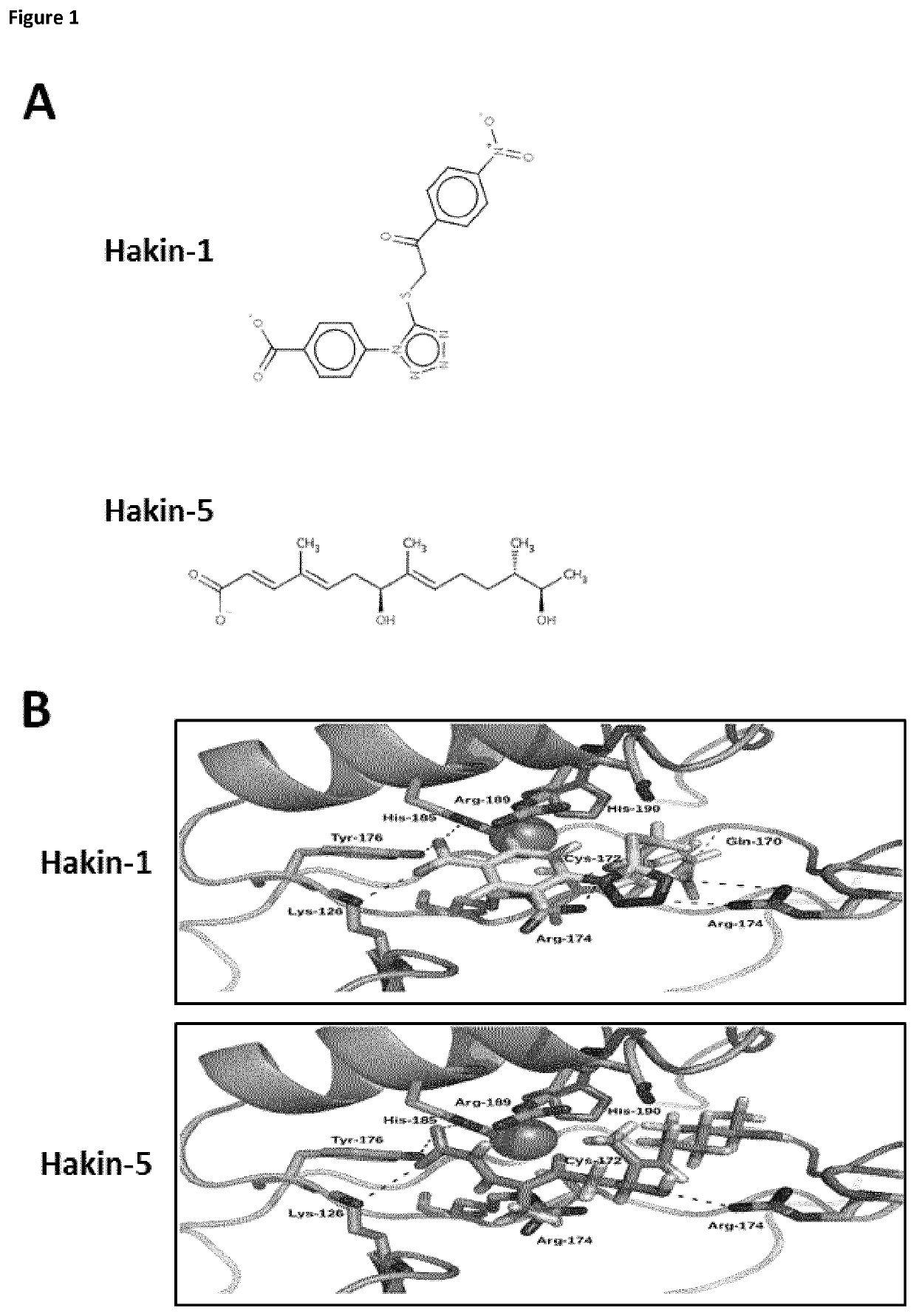 Compounds that selectively and effectively inhibit hakai-mediated ubiquitination, as Anti-cancer drugs