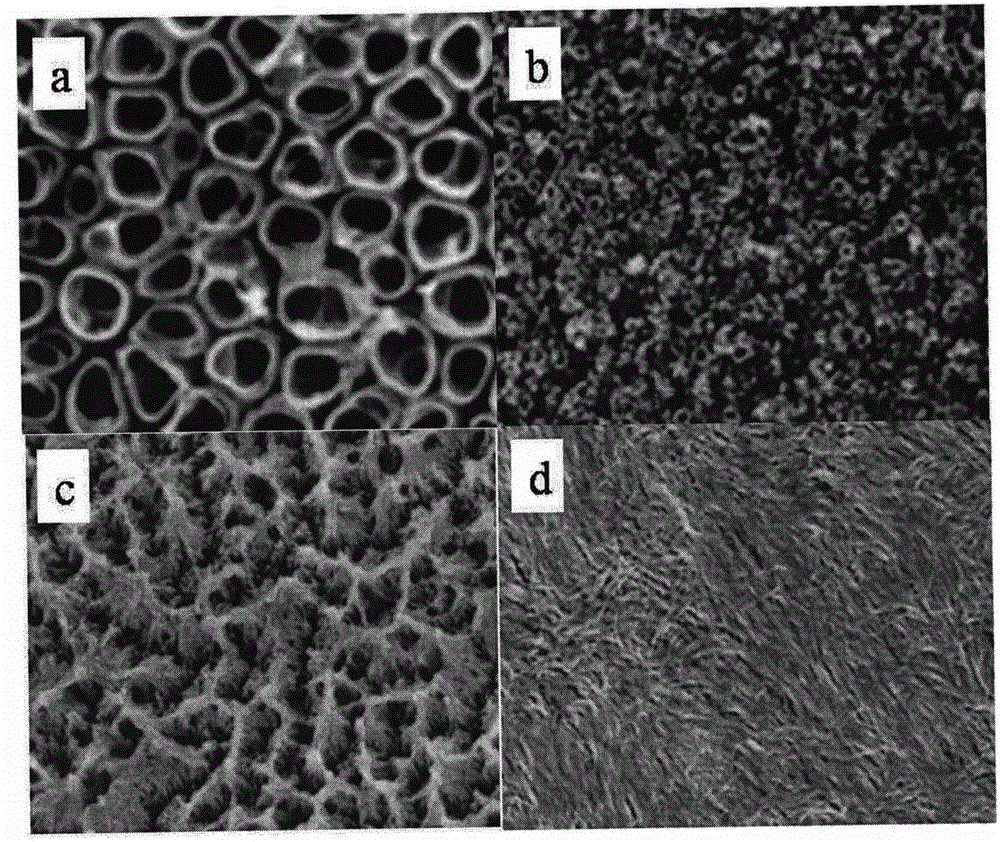 Anodic oxidation preparation method for titanium dioxide nanotube array photocatalyst for degrading rhodamine B
