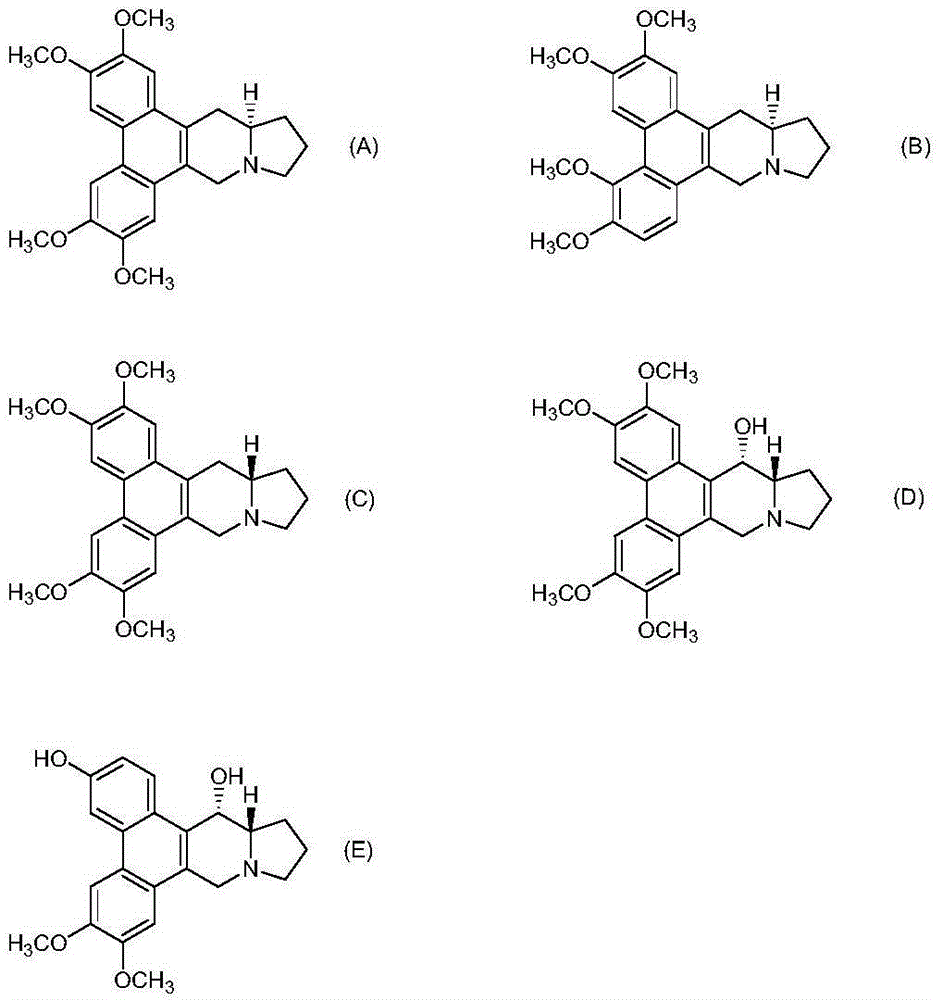 Phenanthroindolizidine compound and NF kB inhibitor containing same as active ingredient