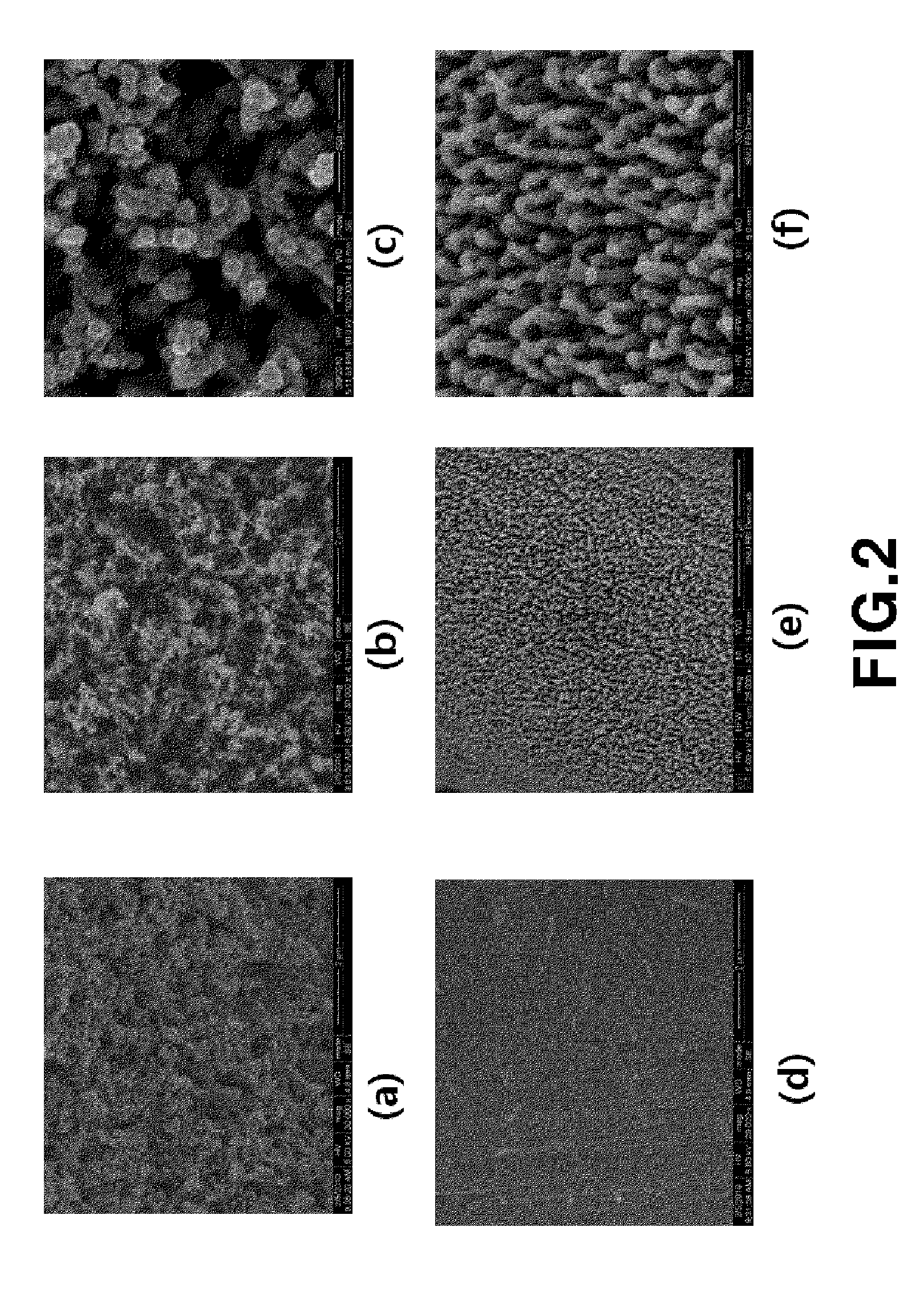 Fuel cell with enhanced mass transfer characteristics