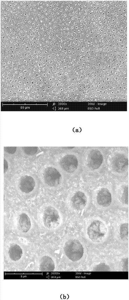 Material for forming mineral substance in dentinal tubule by use of delayed reaction and application of material
