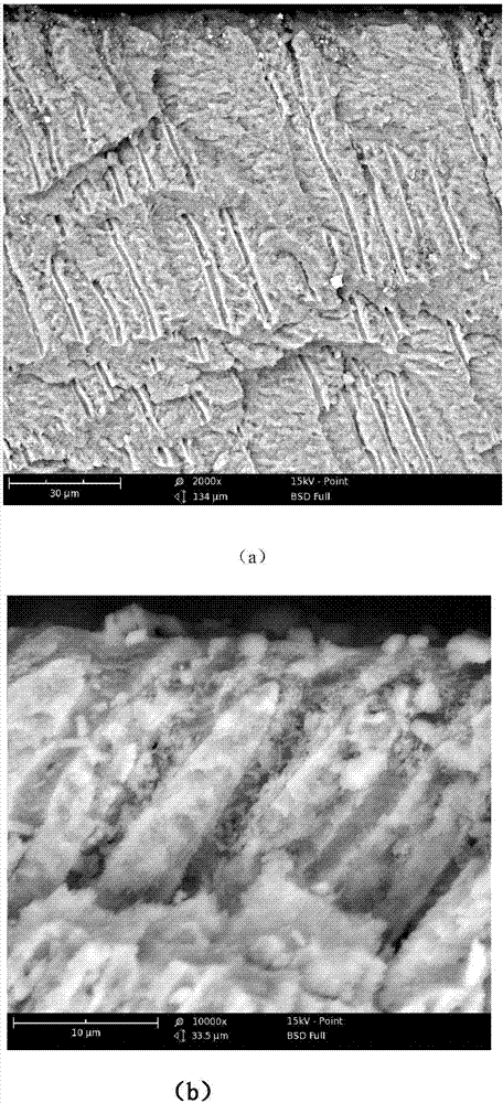 Material for forming mineral substance in dentinal tubule by use of delayed reaction and application of material