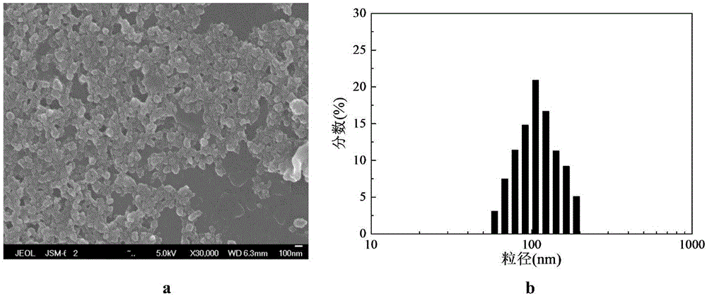 Preparation method of pH-responsive adriamycin nano-drug capsule with surface positive charge