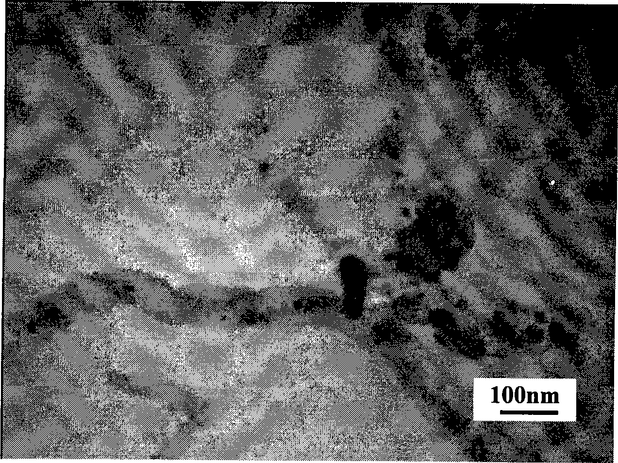 Method for filling carbon nano tube with magnetic nano metal iron particles