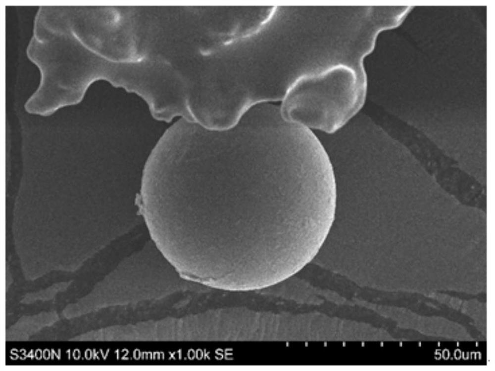 A kind of polyvinyl alcohol hydrogel and its preparation method and application