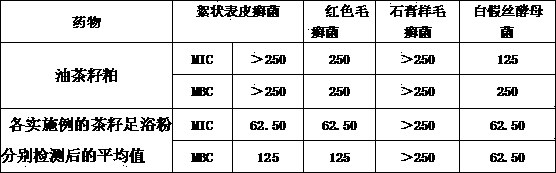 Tea seed foot bath powder and preparation method thereof