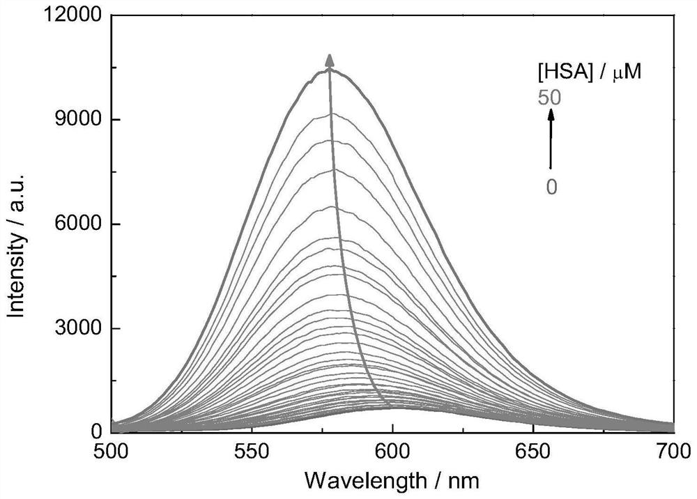 Fluorescent probe for detecting human serum albumin and its synthesis method and application