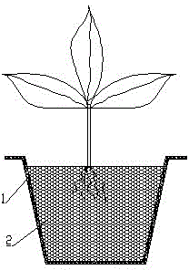 A composite molding sand planting structure