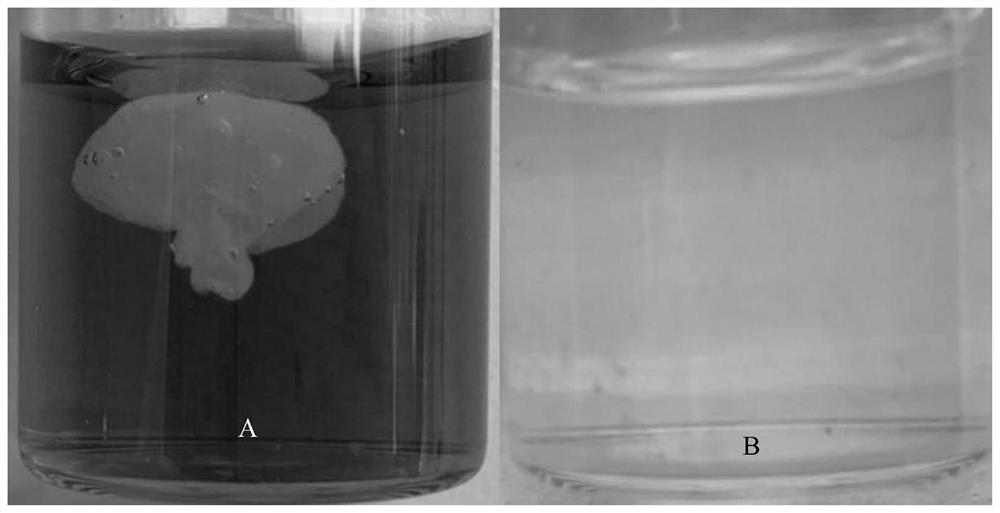 Degradable self-repairing conductive hydrogel, preparation method and application thereof