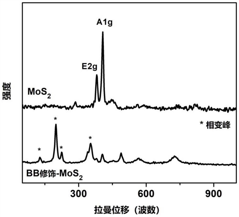 Diatomic boron modified molybdenum disulfide nano material and preparation method and application thereof