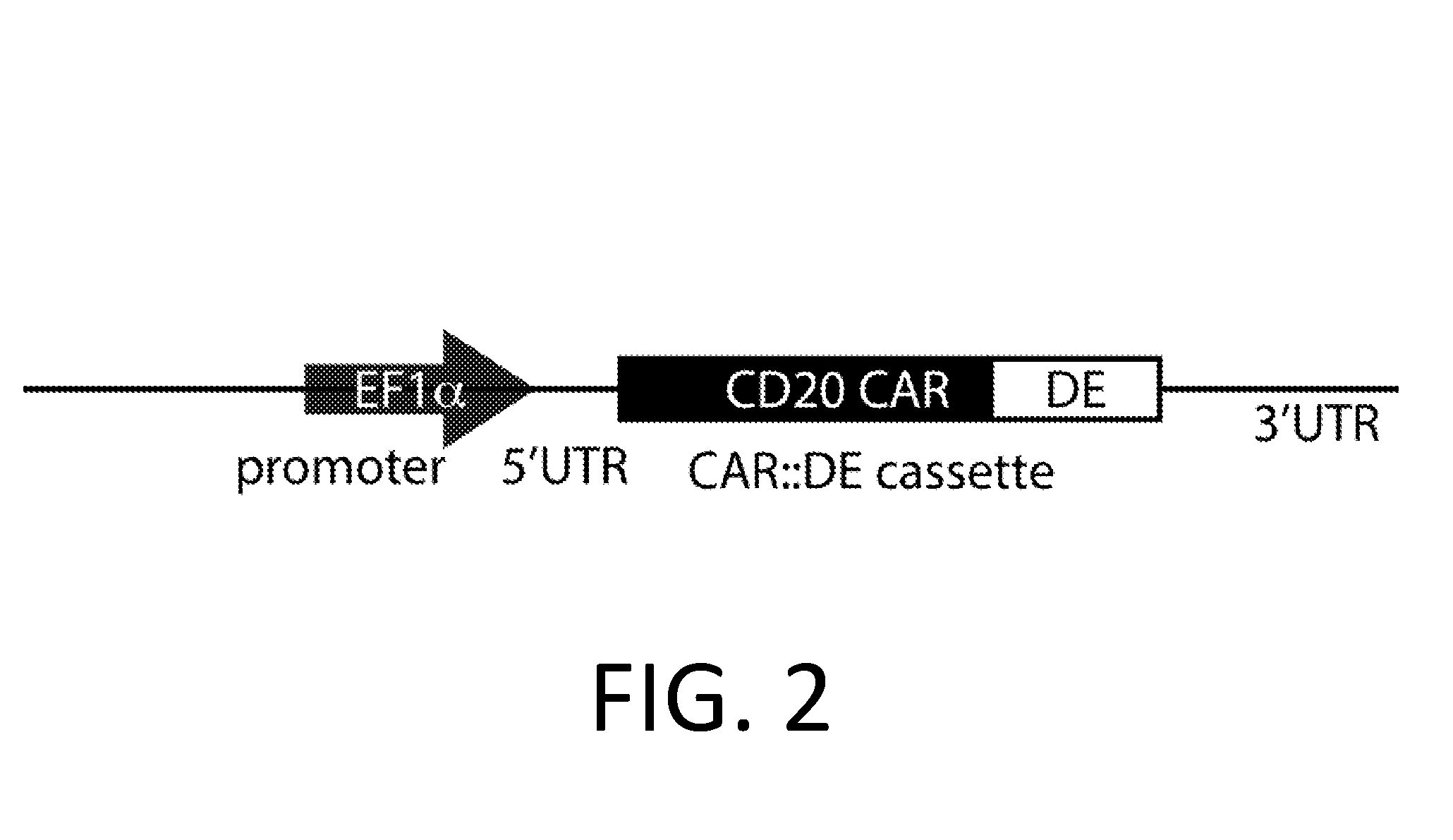 Smart CAR Devices, DE CAR Polypeptides, Side CARs and Uses Thereof