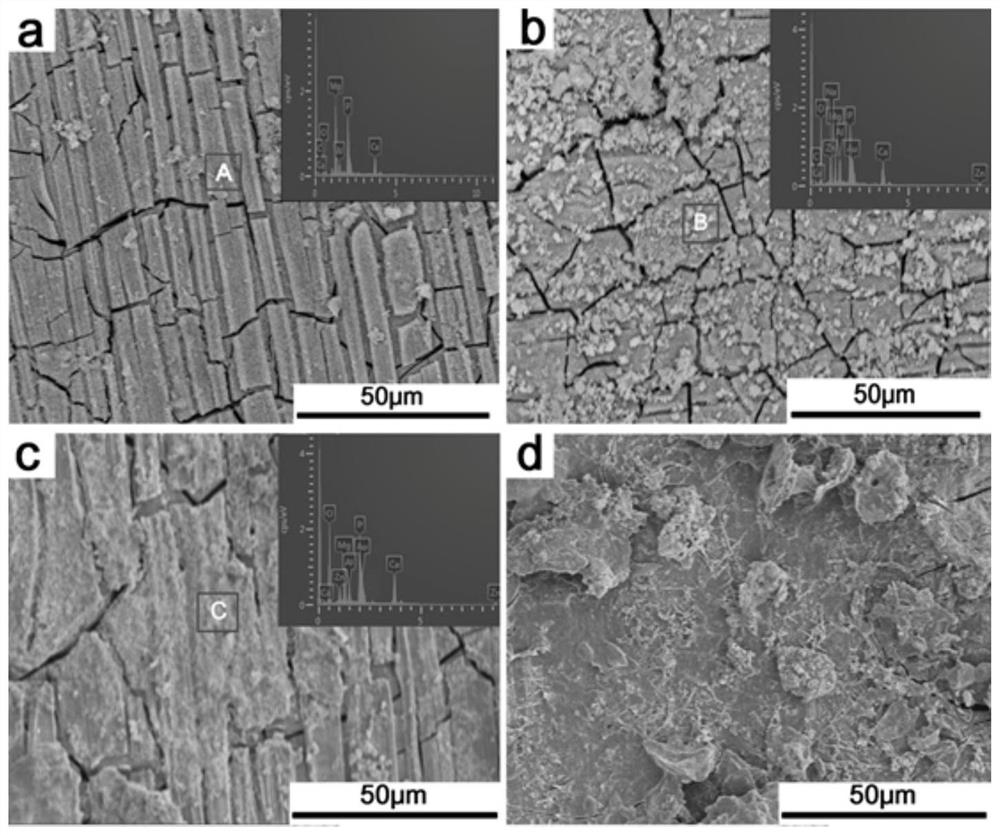 Zinc oxide coating-hydroxyapatite coating with biological activity and antibacterial property as well as preparation method and application thereof
