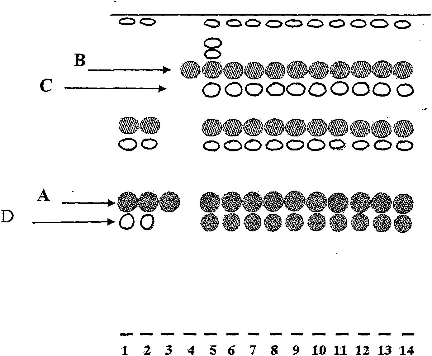Method for distinguishing lonicera hypoglauca miq and honeysuckle and application thereof