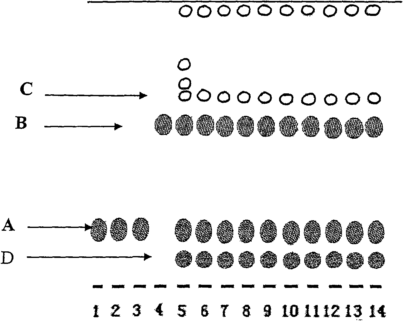 Method for distinguishing lonicera hypoglauca miq and honeysuckle and application thereof