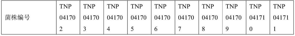 Pharmaceutical composition containing sulbactam and avibactam and application of pharmaceutical composition