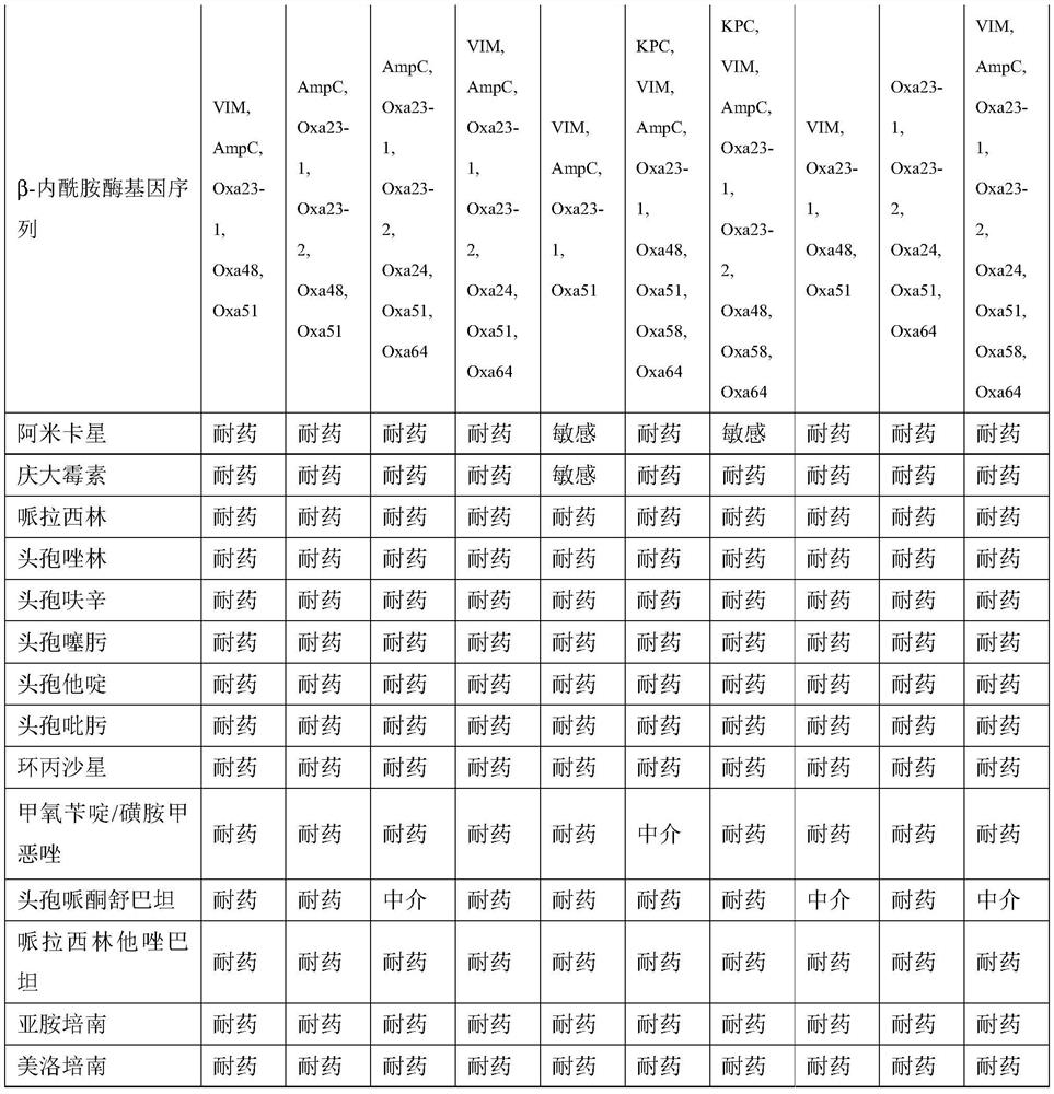 Pharmaceutical composition containing sulbactam and avibactam and application of pharmaceutical composition