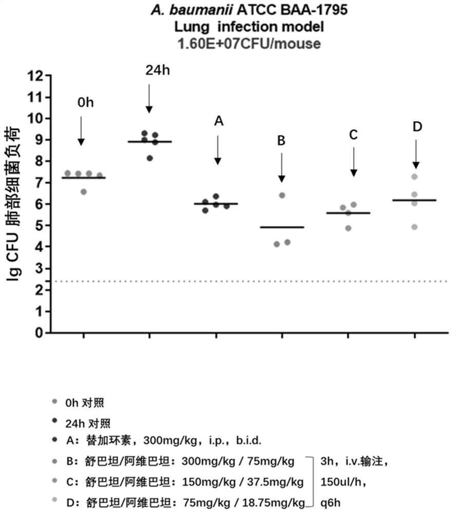 Pharmaceutical composition containing sulbactam and avibactam and application of pharmaceutical composition