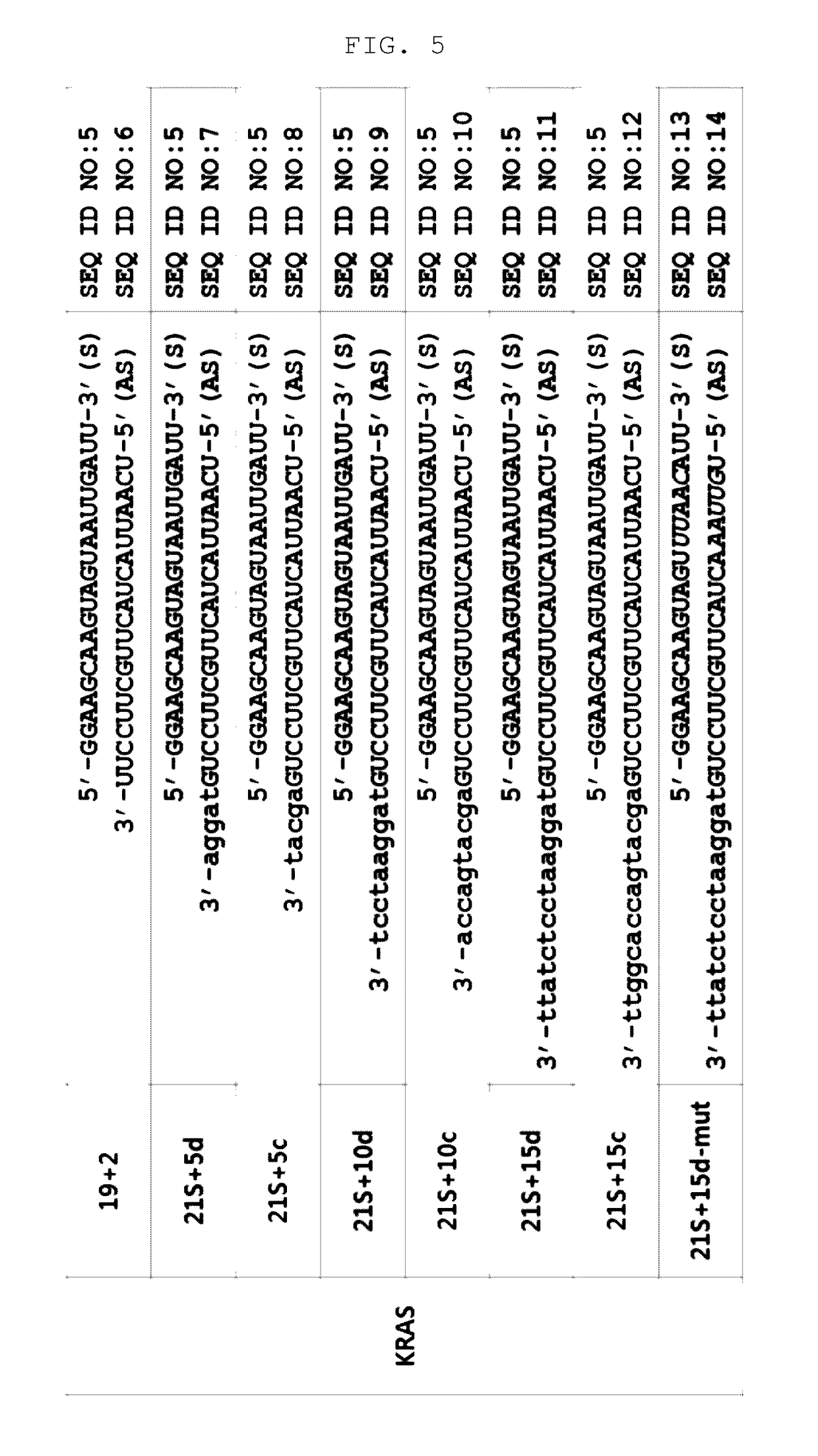 Nucleic acid molecules inducing RNA interference, and uses thereof