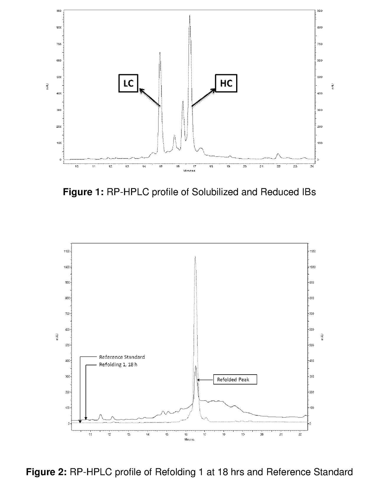 Refolding Process for Antibody's Fragments